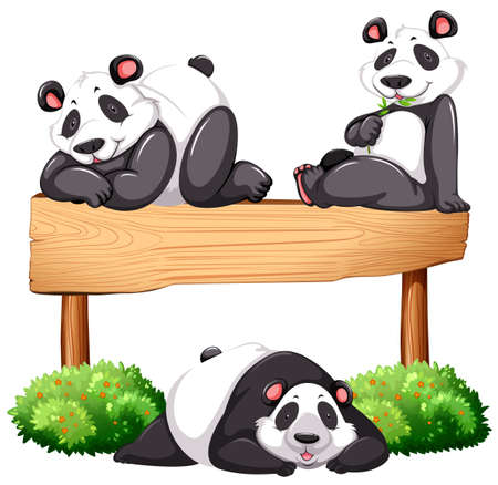 Three pandas and wooden sign illustrationのイラスト素材