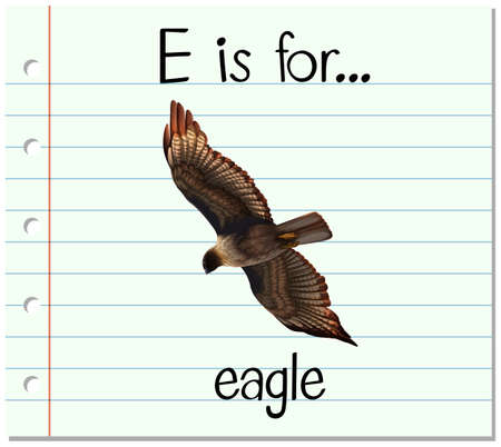 Flashcard letter E is for eagle illustrationのイラスト素材