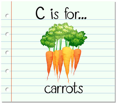 Flashcard letter C is for carrots illustrationのイラスト素材