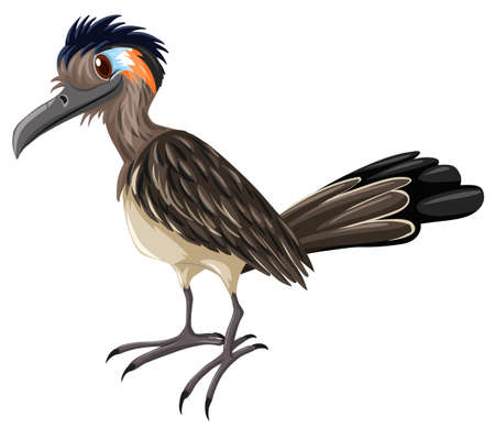 Wild bird on white background illustrationのイラスト素材