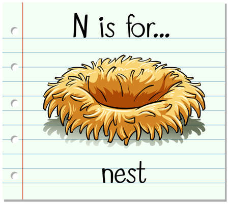 Flashcard letter N is for nest illustrationのイラスト素材