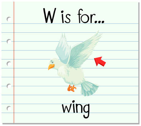 Flashcard letter W is for wing illustrationのイラスト素材
