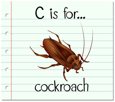 Flashcard letter C is for cockroach illustrationのイラスト素材