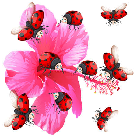 Ladybugs flying around the flower illustrationのイラスト素材