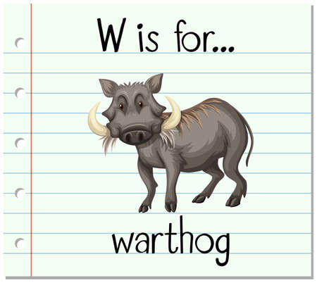 Flashcard letter W is for warthog illustrationのイラスト素材