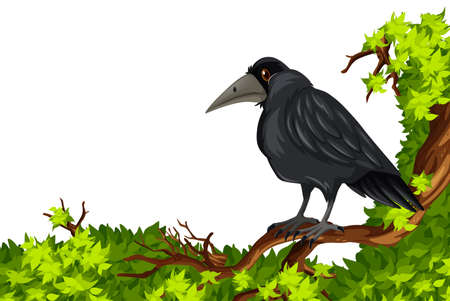 Crow standing on branch illustrationのイラスト素材