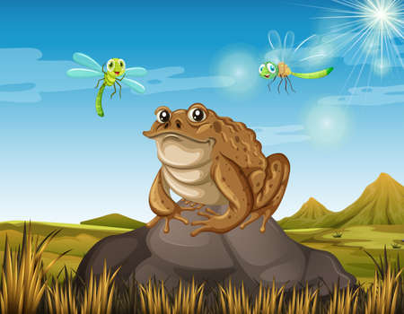 Brown toad sitting on rock illustrationのイラスト素材