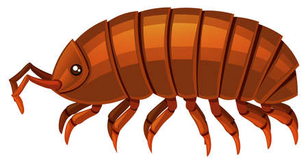 Insect with brown shell illustrationのイラスト素材