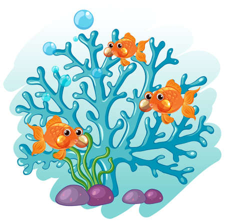 Goldfish swimming around the coral illustrationのイラスト素材