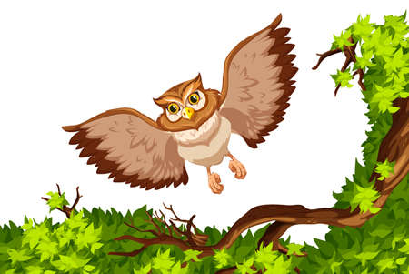 Owl flying over the tree illustrationのイラスト素材