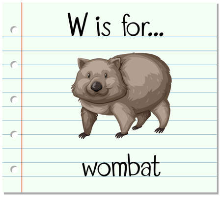 Flashcard letter W is for wombat illustrationのイラスト素材