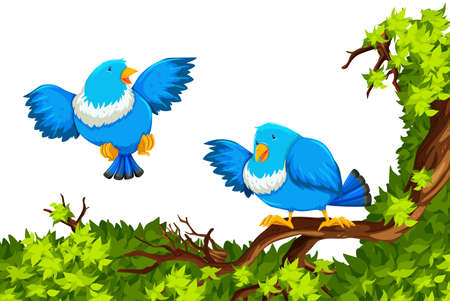 Blue birds on the branch illustrationのイラスト素材