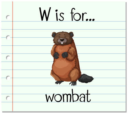 Flashcard letter W is for wombat illustrationのイラスト素材