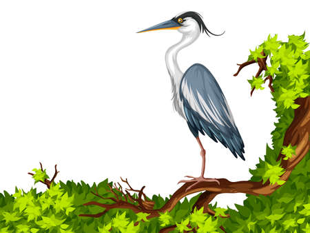 Crane standing on green branch illustrationのイラスト素材