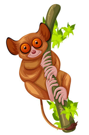 Cute loris on the green branch illustrationのイラスト素材