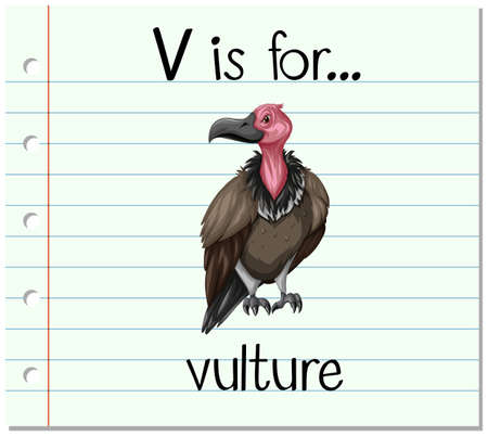 Flashcard letter V is for vulture illustrationのイラスト素材