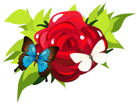 Butterflies flying around the rose illustrationのイラスト素材