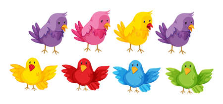 Set of birds with colorful feather illustrationのイラスト素材