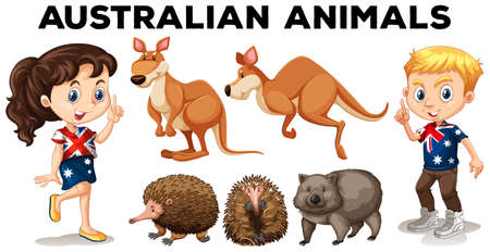 Set of Australian wild animals  illustrationのイラスト素材