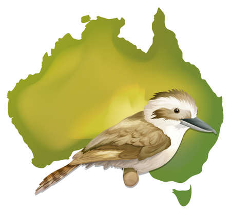 Wild bird in Australia illustrationのイラスト素材