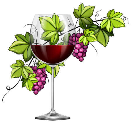 Red wine in glass and grapes in background illustrationのイラスト素材
