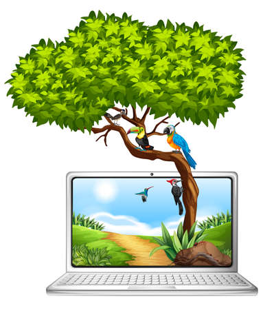 Computer screen with birds on tree illustrationのイラスト素材
