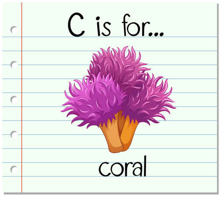 Flashcard letter C is for coral illustrationのイラスト素材
