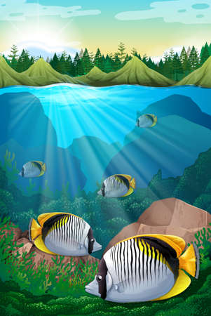 Fish swimming under the ocean illustrationのイラスト素材