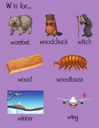 Many words begin with letter W illustrationのイラスト素材