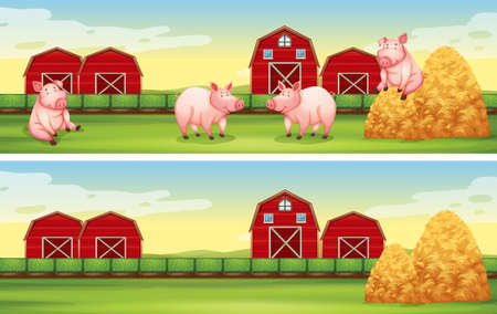 Scenes with pigs on the farm illustrationのイラスト素材
