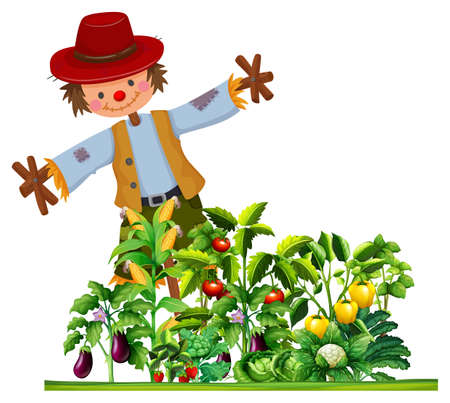Scarecrow and many types of vegetables in the garden illustrationのイラスト素材