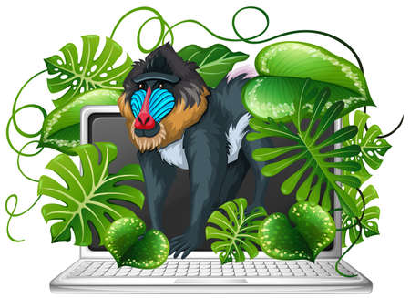 Baboon on computer screen illustrationのイラスト素材