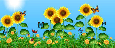 Butterflies flying in the sunflower field illustrationのイラスト素材