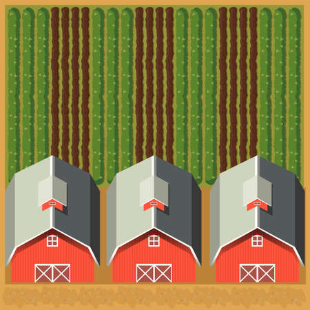 Aerial scene of farm with three barns illustrationのイラスト素材