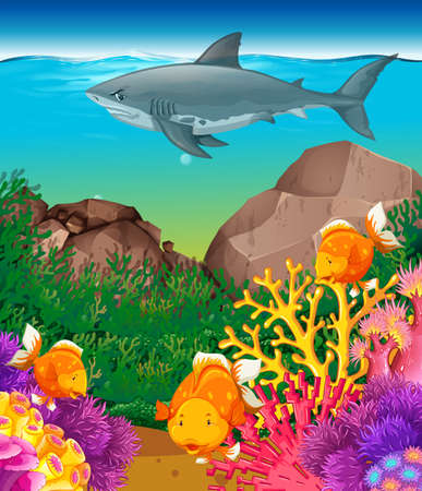 Shark and fish swimming in the sea illustrationのイラスト素材