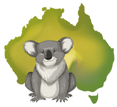 Koala bear and Australian map illustrationのイラスト素材