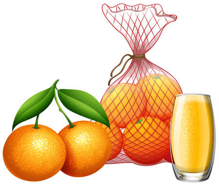 Fresh orange and orange juice illustrationのイラスト素材
