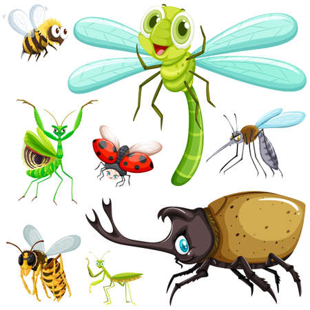 Different kinds of insects illustrationのイラスト素材