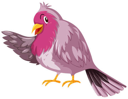 Cute bird with pink feather illustrationのイラスト素材