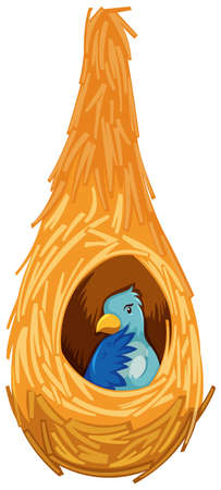 Blue bird inside the nest illustrationのイラスト素材