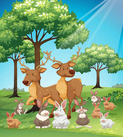 Deers and rabbits in the field illustrationのイラスト素材