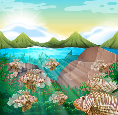 Ocean scene with lion fish underwater illustrationのイラスト素材