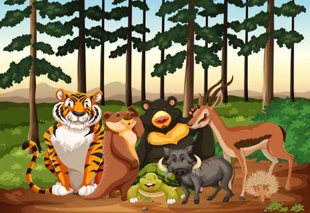 Many animals living in the jungle illustrationのイラスト素材