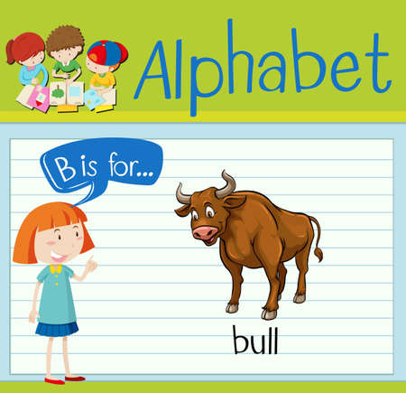 Flashcard letter B is for bull illustrationのイラスト素材