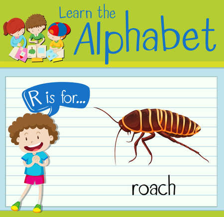 Flashcard letter R is for roach illustrationのイラスト素材