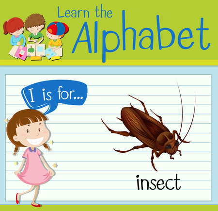 Flashcard letter I is for insect illustrationのイラスト素材