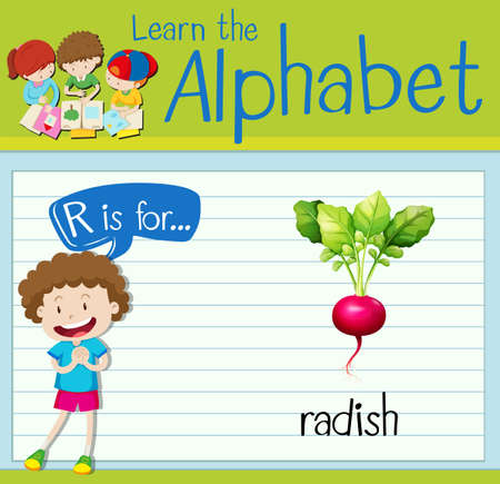 Flashcard letter R is for radish illustrationのイラスト素材