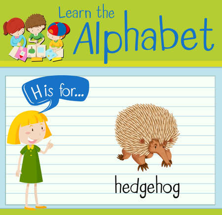 Flashcard letter H is for hedgehog illustrationのイラスト素材