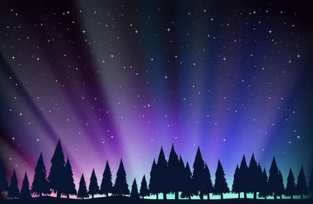 Night scene with trees and stars illustrationのイラスト素材