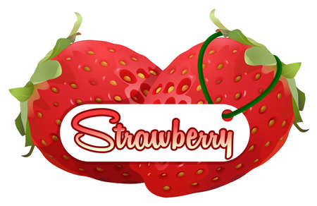 Label design with fresh strawberry illustrationのイラスト素材